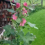 Huettenzauber Taxenbach