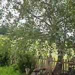 Lejlighed Huettenzauber