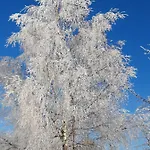 Huettenzauber * Taxenbach