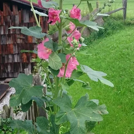 Hüttenzauber Taxenbach