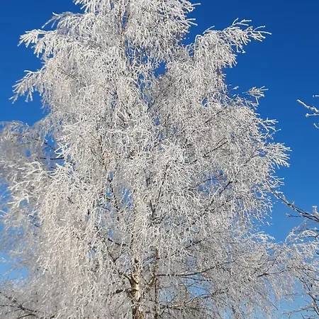 Huettenzauber * Таксенбах