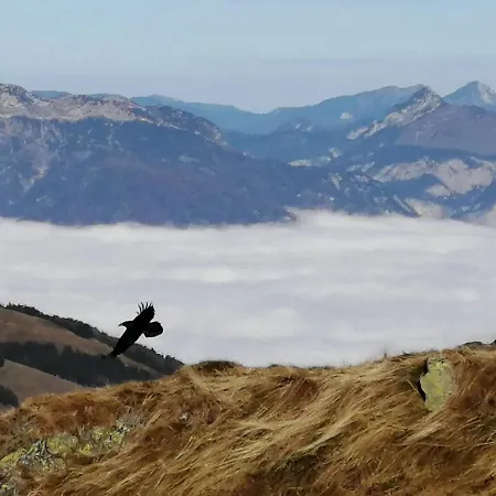 Hüttenzauber * Taxenbach