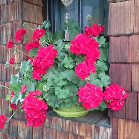 Huettenzauber شقة تاكسنباخ