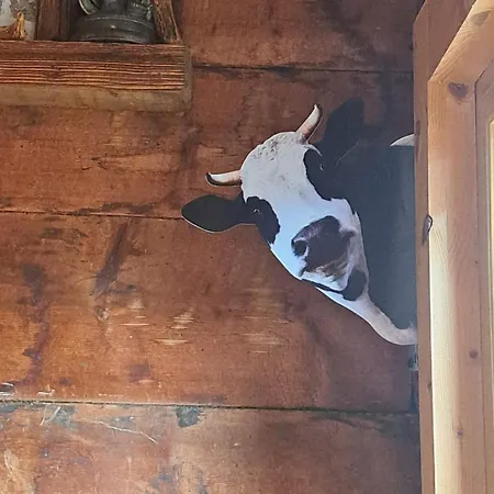 Huettenzauber * تاكسنباخ