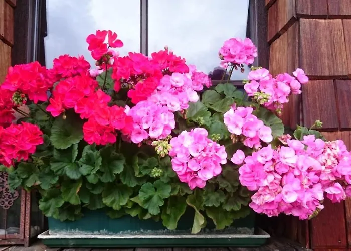 Apartman Huettenzauber *