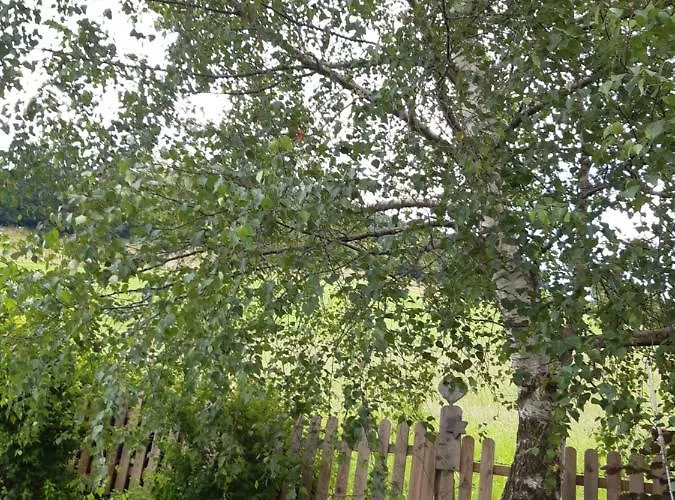 Appartement Huettenzauber