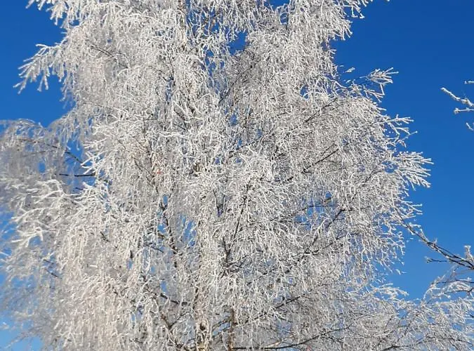 Huettenzauber * Taxenbach