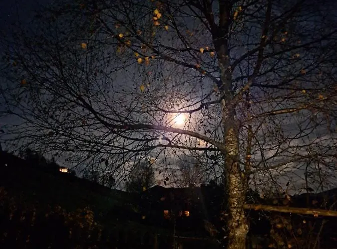 Huettenzauber * Taxenbach