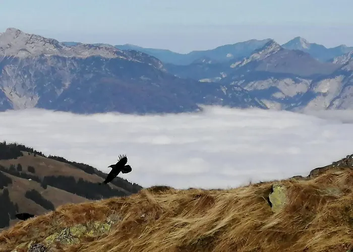 Huettenzauber * Taxenbach