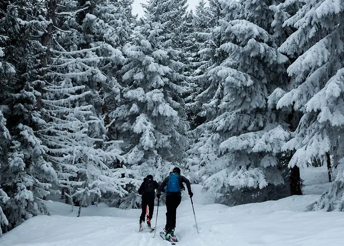Huettenzauber * Taxenbach