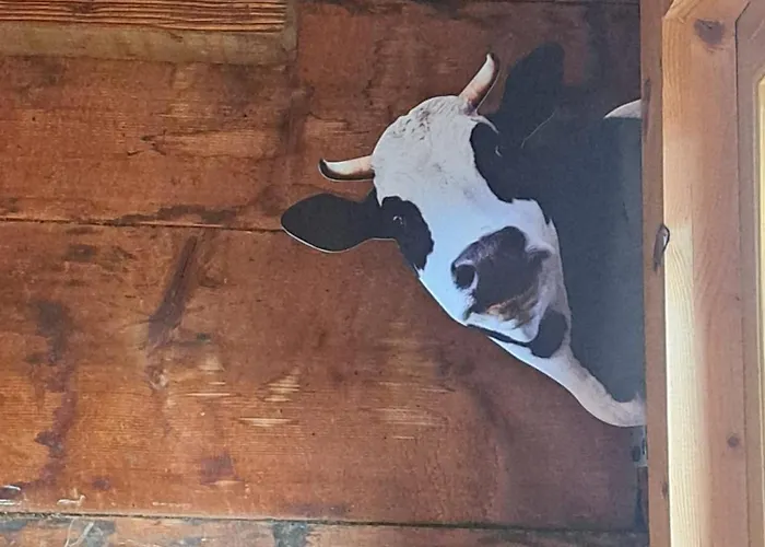 Huettenzauber * Taxenbach